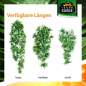Preview: TERRARIUM PLANTS – Kunststoffplanzen